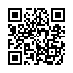 353WB3I384T QRCode