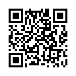 353WB5A081T QRCode