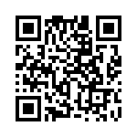 353WB6A250R QRCode