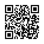 353WB6A400T QRCode