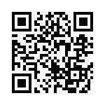 36401E13N8GTDF QRCode