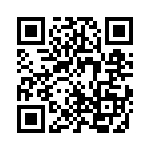 385500M0012 QRCode