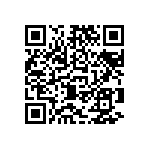 3BHE033613P0002 QRCode