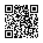 4-103795-0 QRCode