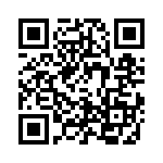 4-1546468-4 QRCode