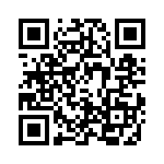 4-1734285-3 QRCode