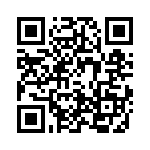 4-1734839-1 QRCode