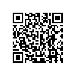 405C35B33M00000 QRCode