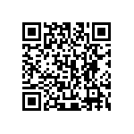 405C35D13M00000 QRCode