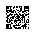 405I35E13M00000 QRCode