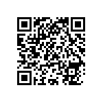 406C33B13M22500 QRCode