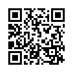 41013 QRCode