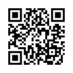 41332 QRCode