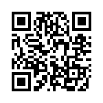 413SX21-T QRCode