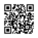 416F38025IDR QRCode