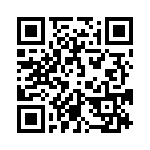 4181-2PG-300 QRCode