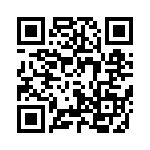 4181-4PG-300 QRCode