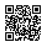 4280-8PG-300 QRCode