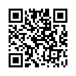 4281-9PG-300 QRCode