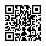 4281-9SG-300 QRCode