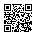 4282-9SG-300 QRCode