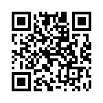 4291-6PG-300 QRCode