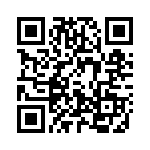 4300-0251 QRCode