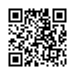 430101-13-0 QRCode