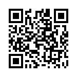 4304-4041 QRCode