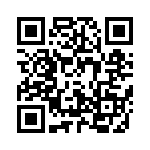 4380-4PG-300 QRCode