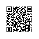 445I33H13M00000 QRCode