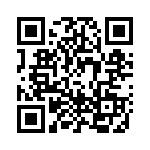 4N55-300 QRCode