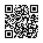 5-1612163-3 QRCode