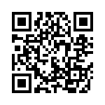 500R07S1R2BV4T QRCode