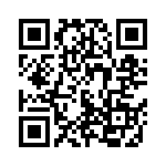 501R15N101JV4T QRCode