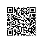 510-87-124-13-001101 QRCode