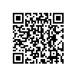 510BBA106M250BAG QRCode