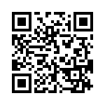 513375-12-C QRCode