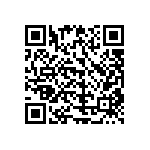 51760-10101601AA QRCode