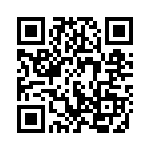 51941 QRCode