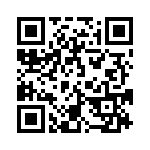 5382-4PG-528 QRCode