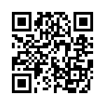 53D111F400JS6 QRCode