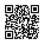 53J250E QRCode