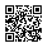 54101-G08-04 QRCode