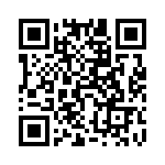 54202-T08-03A QRCode