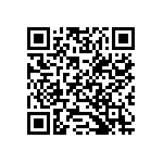 54242-406141300LF QRCode