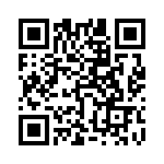 5530002847F QRCode