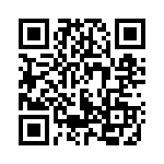 55838-1 QRCode