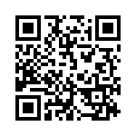 55P QRCode