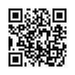 5710133811F QRCode